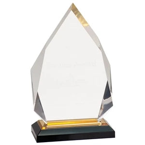 Custom Diamond Impress acrylic award